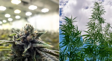 INDOOR VS OUTDOOR GROW COSTS
