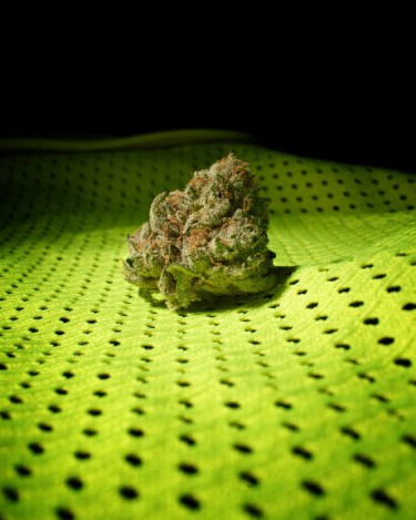 terpenes for anxiety