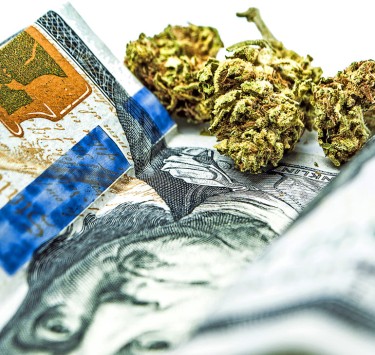 MARIJUANA TAX NUMBERS IN AMERICA