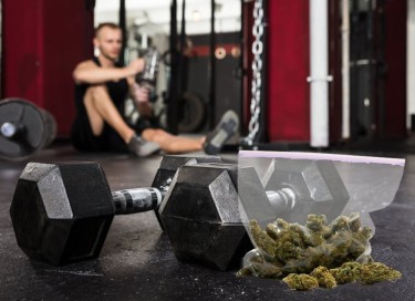 CANNABIS AND EXERCISE TOGETHER