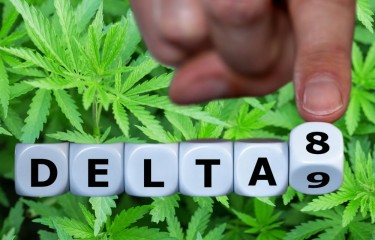 DELTA 8 THC IN TEXAS