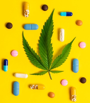 big pharma on cannabis legalization
