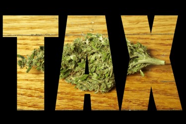 marijuana tax revenue