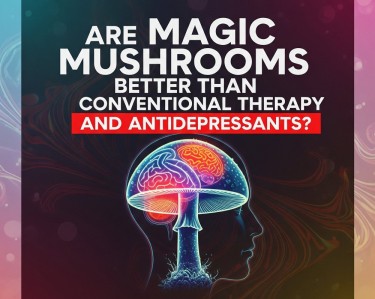 mushrooms for antidepressants