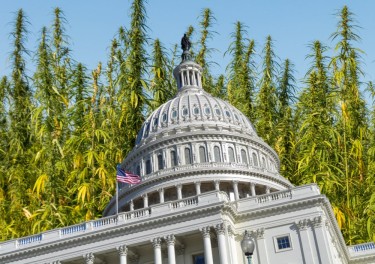 GOVERNMENT FIXES FARM BILL