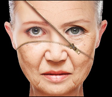 CBN FOR ANTI AGING IN HUMANS