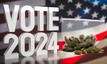 CONSERVATIVES CANNABIS VOTE