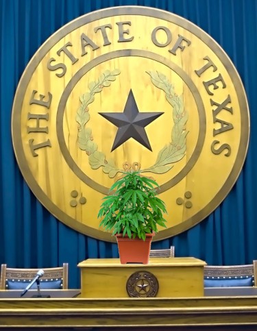 thc veto in Texas