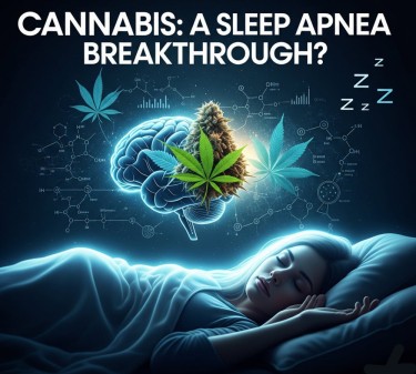 cannabis for sleep apnea studies
