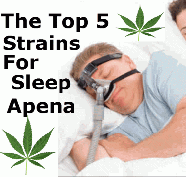 SLEEP APNEA STRAINS