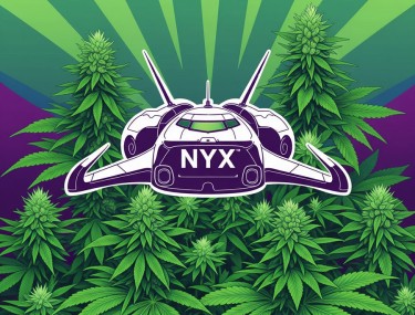 nyx space capsule and cannabis