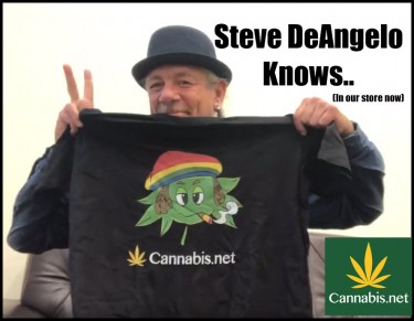 STEVE DEANGELO ON DEA