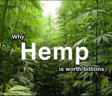 what is the value of the hemp market