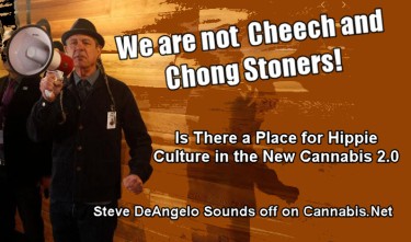 STEVE DEANGELO ON CANNABIS HIPPIE CULTURE