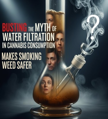 water filtation in cannabis