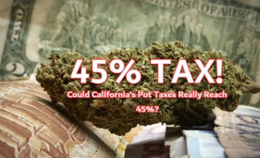 CALI CANNABIS TAXES