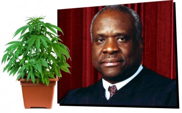 CLARENCE THOMAS ON CANNABIS
