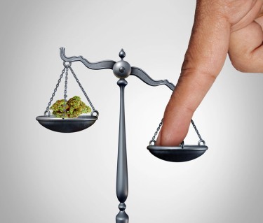 IS THE DEA RIGGING CANNABIS HEARINGS