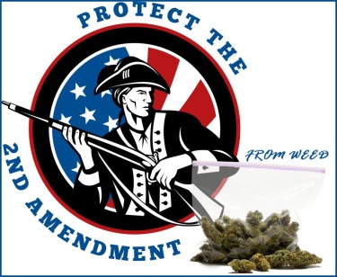 CANNABIS USERS GUN RIGHTS 2ND AMENDMENT