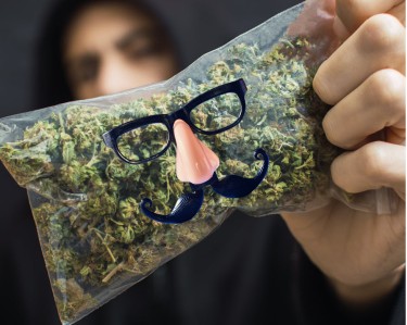 DELTA-9 THC IS REAL MARIJUANA