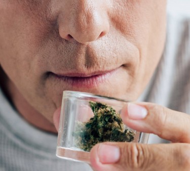 CANNABIS SLOWS AGEING