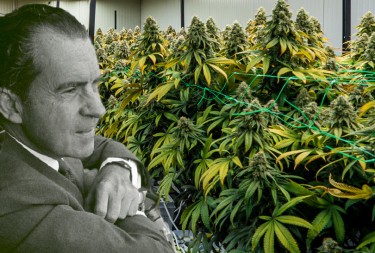 NIXON ON MARIJUANA BAN