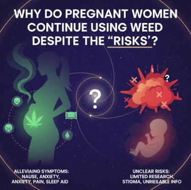 cannabis during pregnancy