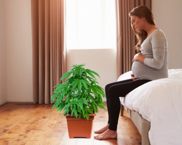 CAN CANNABIS HELP WITH MORNING SICKNESS