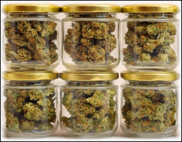 HOW TO DRY YOUR CANNABIS GUIDE
