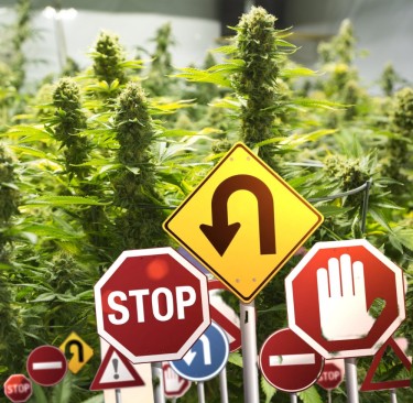 THC FROM HEMP BAN