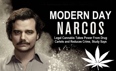 LEGAL WEED STOPS CARTEL DRUGS