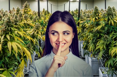 ADHD AND MEDICAL MARIJUANA 