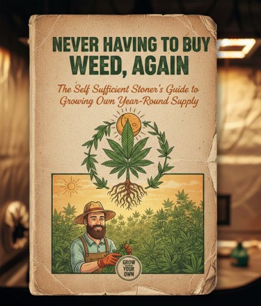 growing cannabis year round