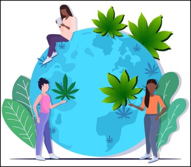 2026 CANNABIS INDUSTRY