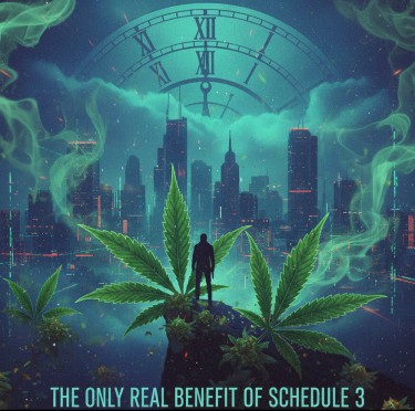 benefits of schedule 3