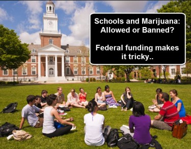 SCHOOLS MARIJUANA POLICIES