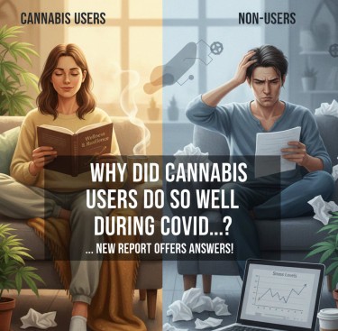 covid cannabis data