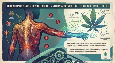 fascia cannabis