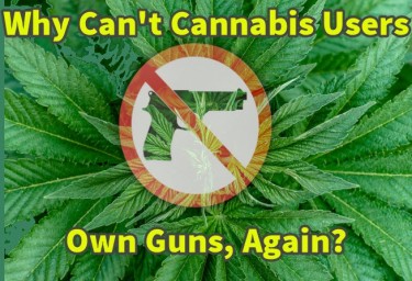 CANNABIS USERS CAN'T OWN GUNS