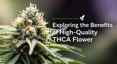 thca flower benefits