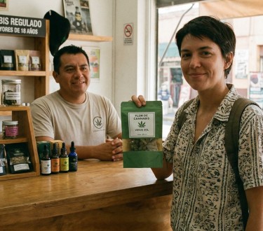 cannabis in mexico