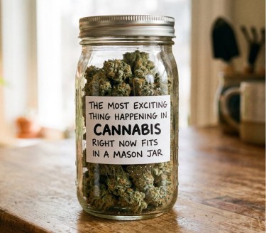 cannabis in a jar
