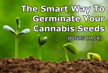 GERMINATION TIPS
