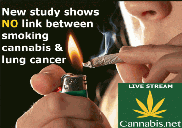 CANNABIS AND LUNG CANCER RISKS
