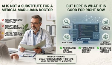 AI FOR DOCTOR TREATMENTS