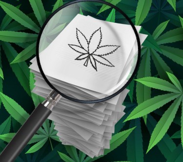 MEDICAL CANNABIS STUDIES