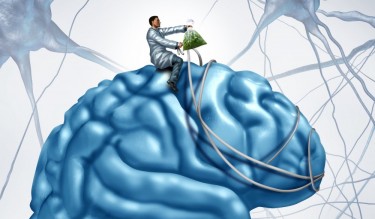 cannabis strains for alz