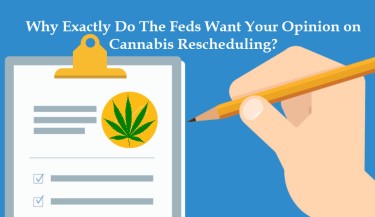 fda on cannabis rescheduling