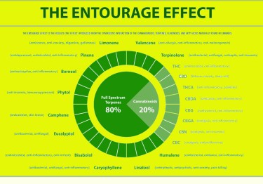 ENTOURAGE EFFECT IN HEMP