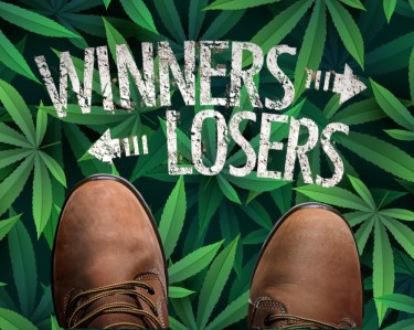 WINNERS AND LOSER OF CANNABIS